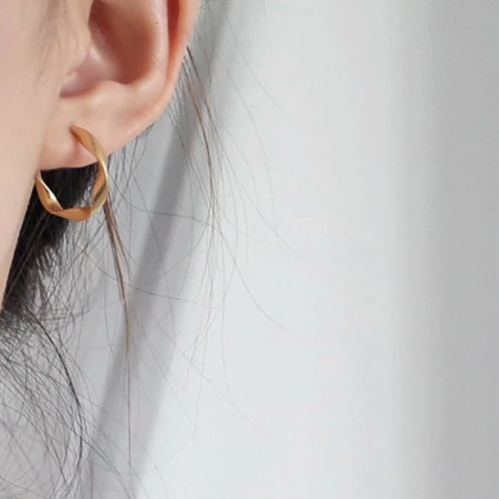 Celine style Small hoops earrings